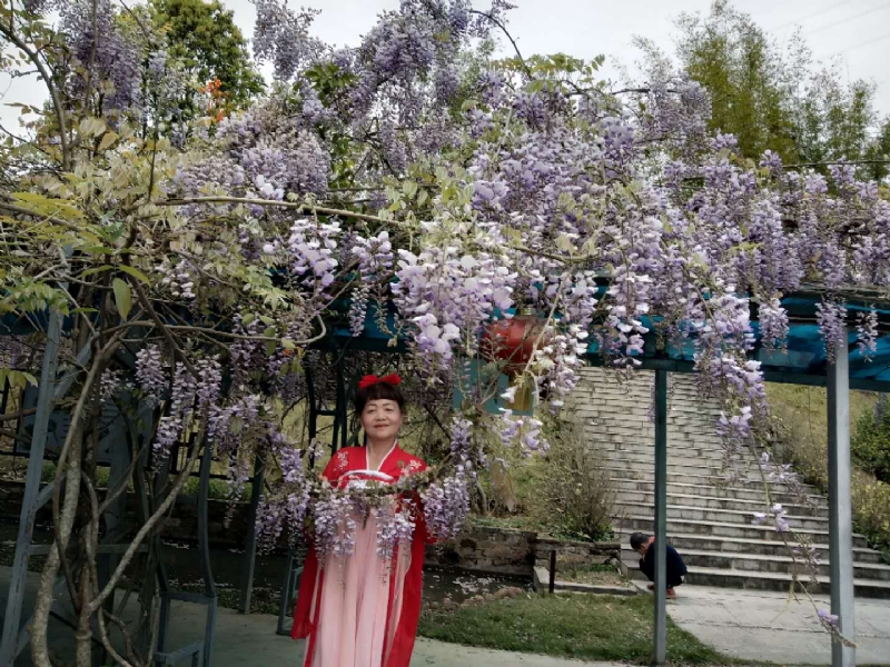 莉莉的第一张照片--长汀婚介网